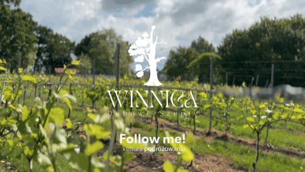 Winnica Dębowe Szepty followme