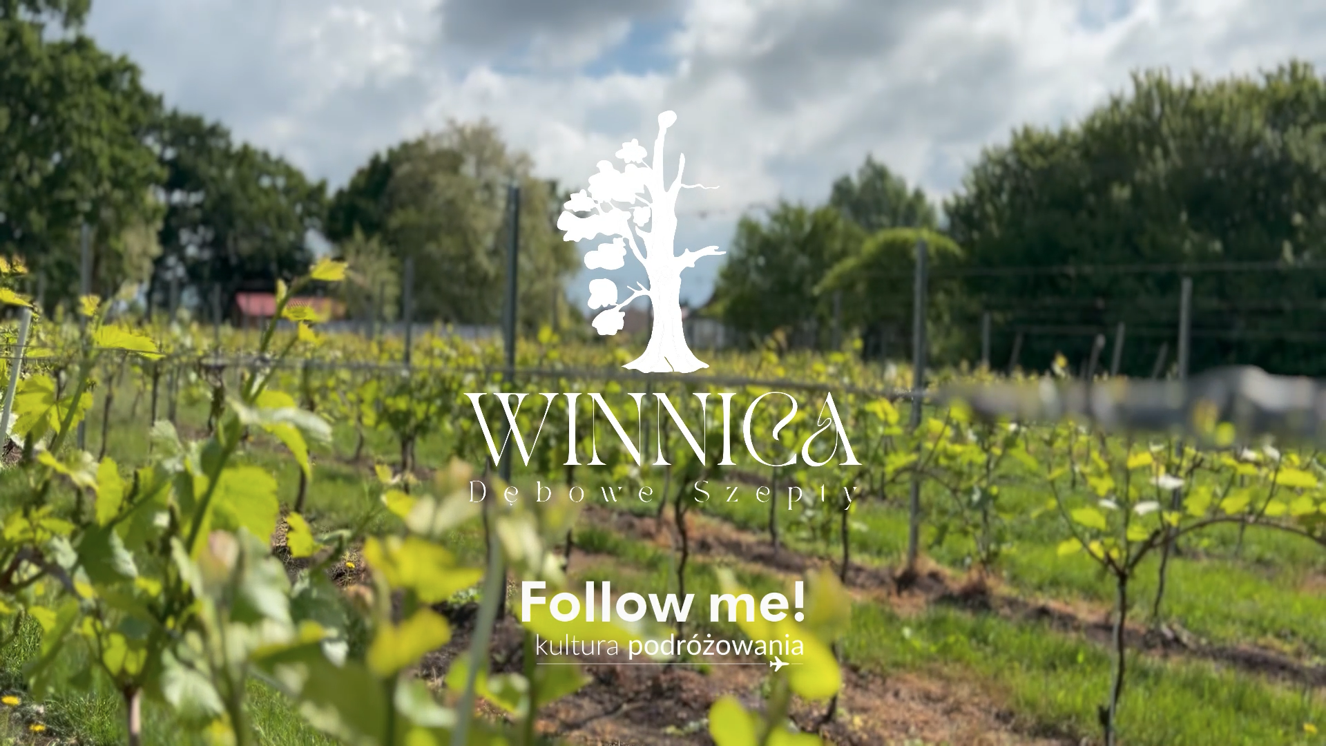 Winnica Dębowe Szepty followme