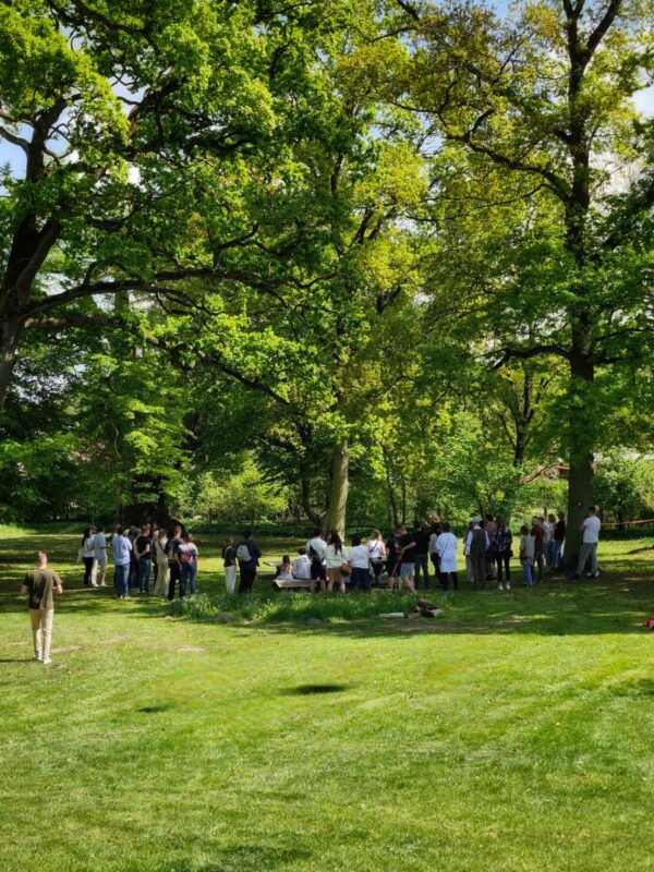 winnica dębowe szepty