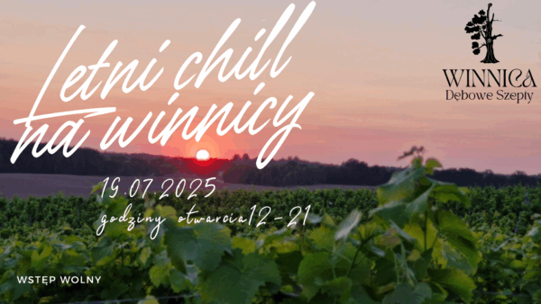 Letni chill na winnicy