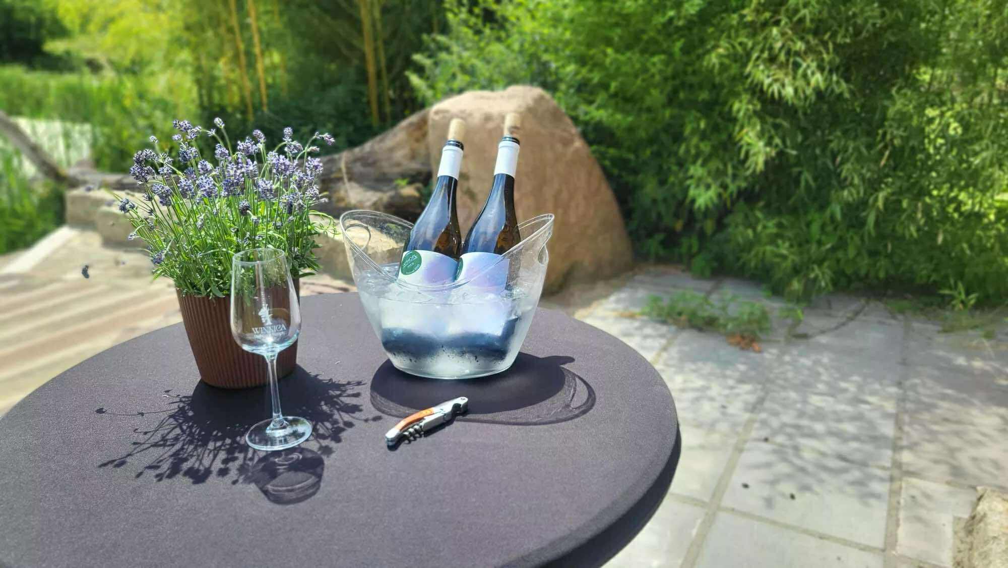 Dzień Wina Winnica Dębowe Szepty