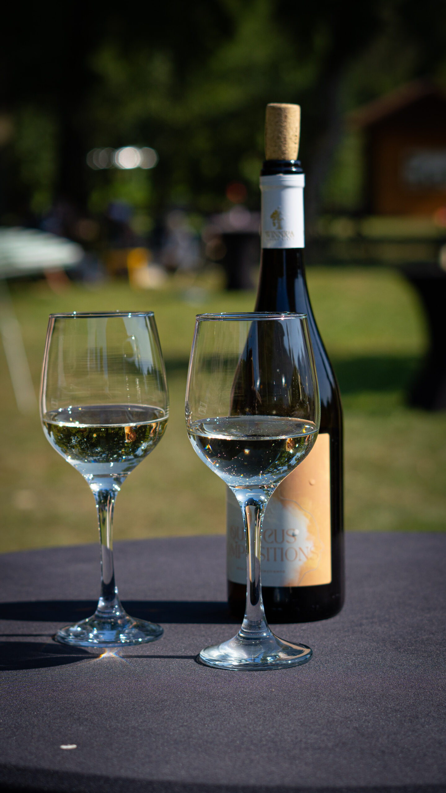 Weekend otwartych winnic - winnica dębowe szepty