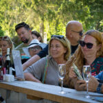 Weekend otwartych winnic - winnica dębowe szepty